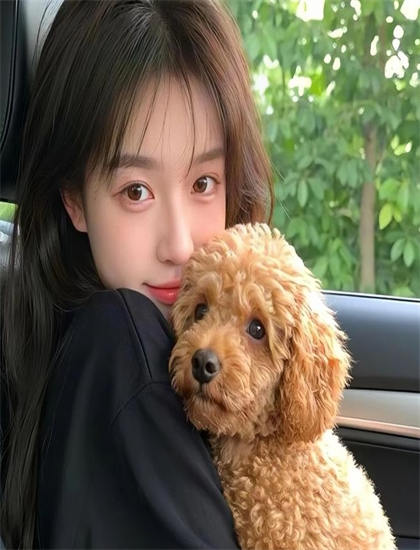 驯龙高手1 电影-辣妹子影院电视剧在线播放免费